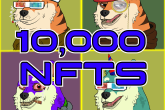 create unique premium nft art collection