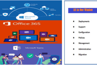 setup microsoft office 365 complete services and securities
