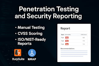 do web app pentest and security report with fixes