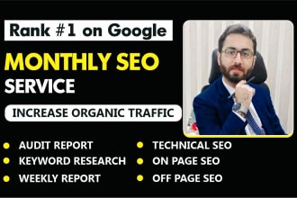provide complete monthly SEO service for google top ranking