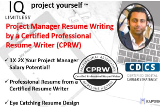 provide professional resume writing services for project managers