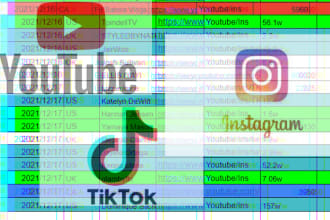 match best influencer for you, instagram, youtube, tiktok or amazon