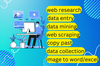 do  accurate excel data entry, web research, copy past