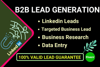 do b2b lead generation linkedin lead business research and data entry for you