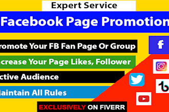 do organic promotion of your facebook page, group