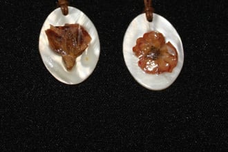 send u these 2 cute necklaces with free shipping