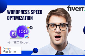 wordpress speed optimization for google pagespeed insight