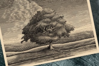 design ink and pen illustrations artwork