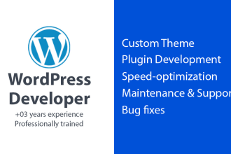 install, setup and customize your wordpress theme