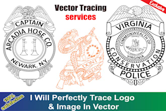perfectly trace logo or image in vector