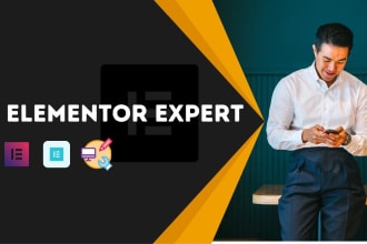 design, develop, clean and modern wordpress website as elementor pro expert