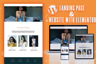 professionally create a responsive wordpress landing page or website