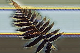 create nft 3d nft and animation nft designs for you