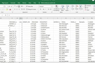 be your data entry assistant