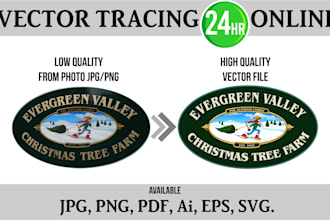 vectorize your photo, convert image to vector