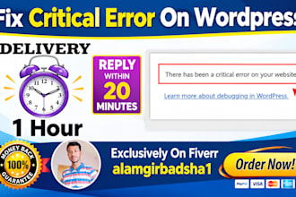 fix wordpress website critical error within 1 hour