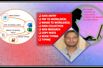 do data entry in excel or word data conversion