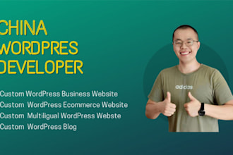design and develop a chinese ecommerce website wth wordpress