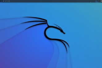 teach you tools on kali linux