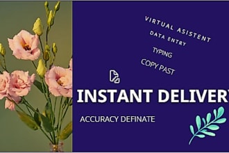 virtual assistant, data entry, convert files and data search worker for you