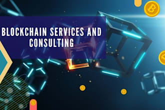 provide blockchain consultation and development