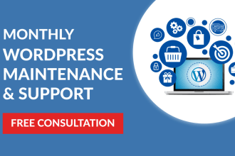 provide  wordpress website maintenance and fix issues