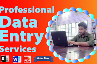 do professional data entry, web research and copy past job