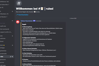 setup your professional discord