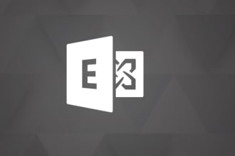 provide support for microsoft exchange 2010, 2013, 2016, 2019 environments
