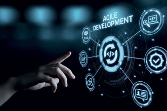 offer agile coach support for scrum master or product owner for software dev