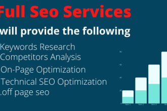 do full website audit and monthly SEO services