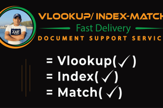 do excel vlookup, index, match, pivot table, sumifs, countifs