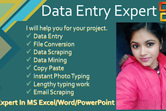 do data entry web research social media search data collection  email scraping