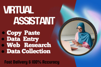 do data entry, copy paste, web research, data collection