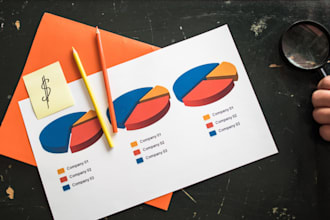 customise business infographic, flowchart and roadmap in 12 hours