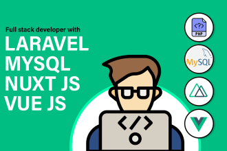 provide full stack web dev services with vue js and laravel