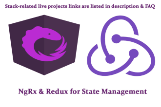 develop or fix your angularjs, react redux, ionic framework application