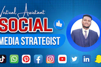 be your virtual assistant and social media strategist