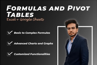 create custom excel or google sheets with formulas and pivot tables