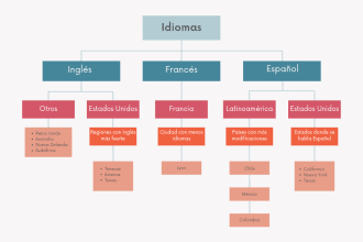 design charts, graphs, diagram in 6hrs