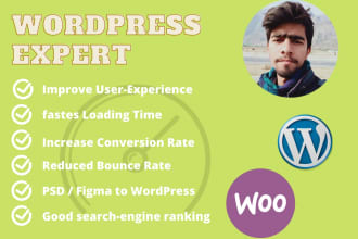 do wordpress speed optimization, website optimization, page speed optimization