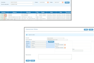 make business solutions using programming languages and databases