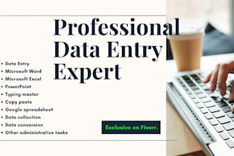 do word excel powerpoint data entry, copy paste, typing job