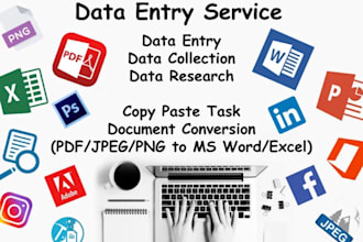 be your reliable data entry operator