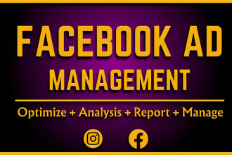 create and design and run facebook ig and shopify ad campaigns for your business