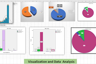do data analysis and visualization by power bi, excel, r, spss