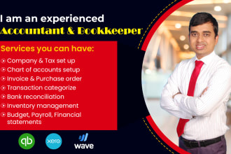 do perfect setup, cleanup and bookkeeping in quickbooks online, xero and wave