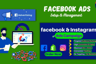 setup and manage your facebook and instagram ads campaign, for leads and sales