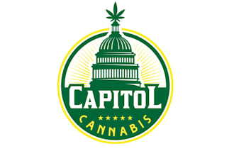 do create an elegant cannabis logo for your business