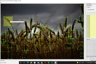 do image annotation, bounding boxes,labeling or segmentation